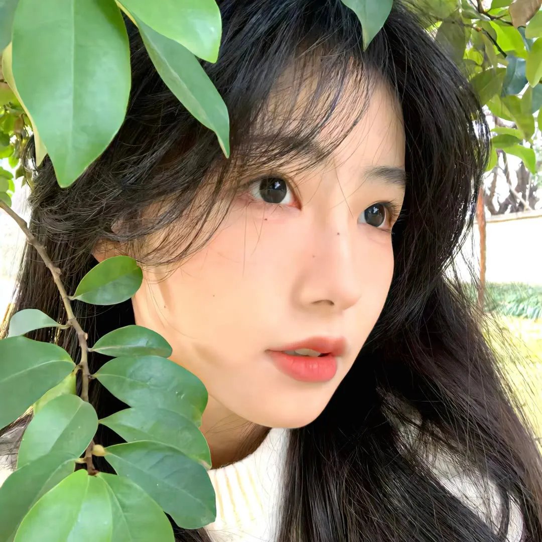 华丽的休假